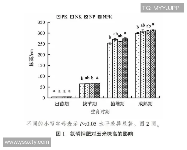 LNG战队中路选手表现分析及其对比赛胜负的影响探讨