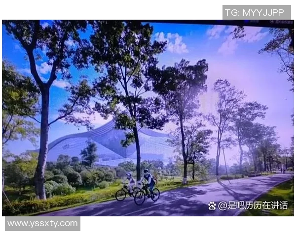 成都极限运动队与广州极限运动队实力对比赛后分析与总结